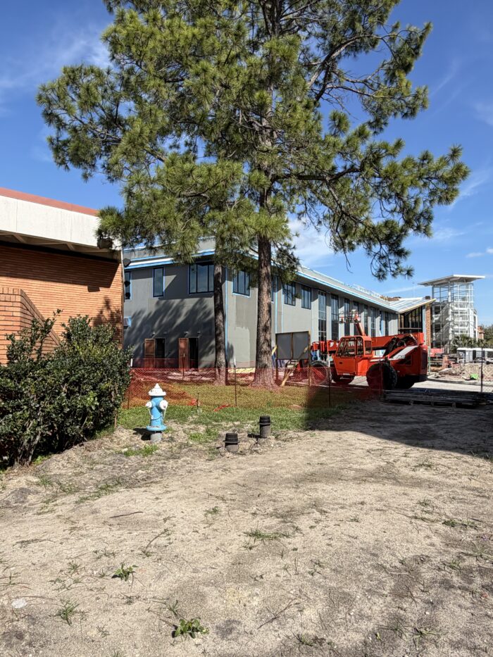 A view of the new building