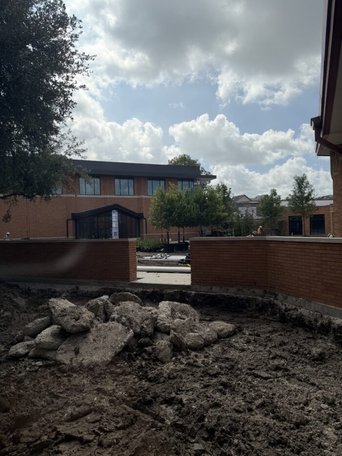 We have trees in the courtyard!