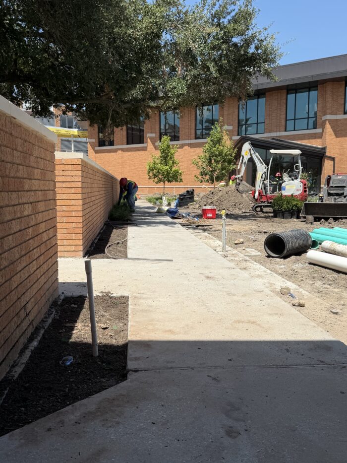 Courtyard landscaping work