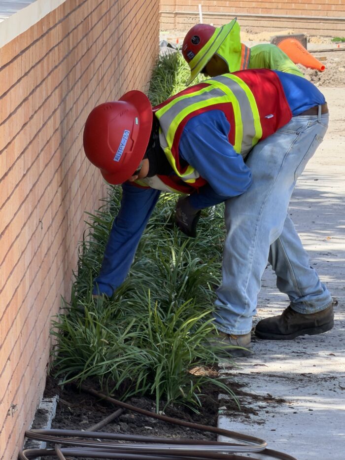 Courtyard landscaping work