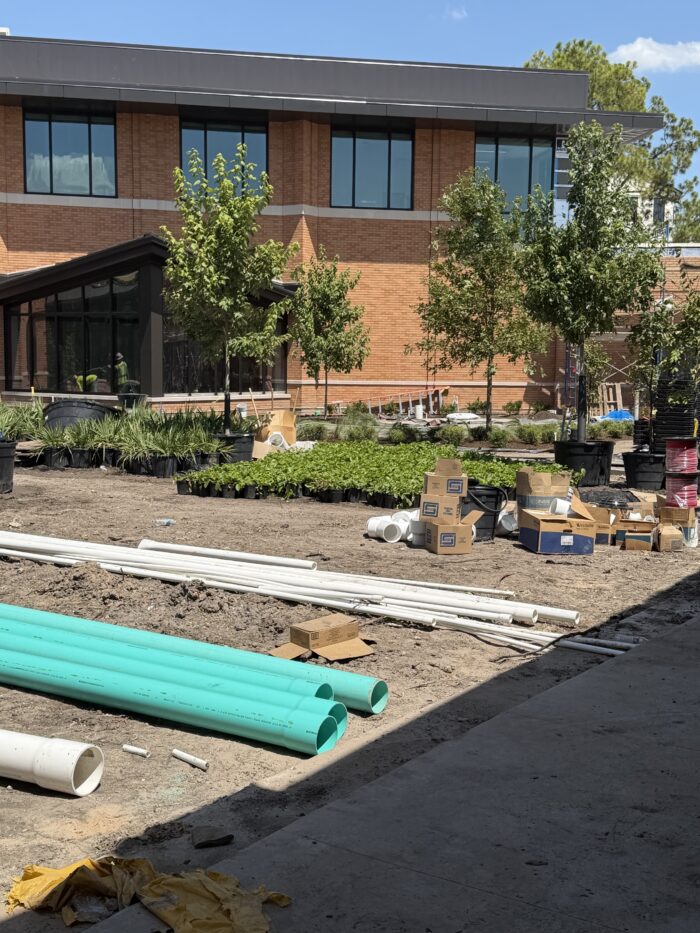 Courtyard landscaping work