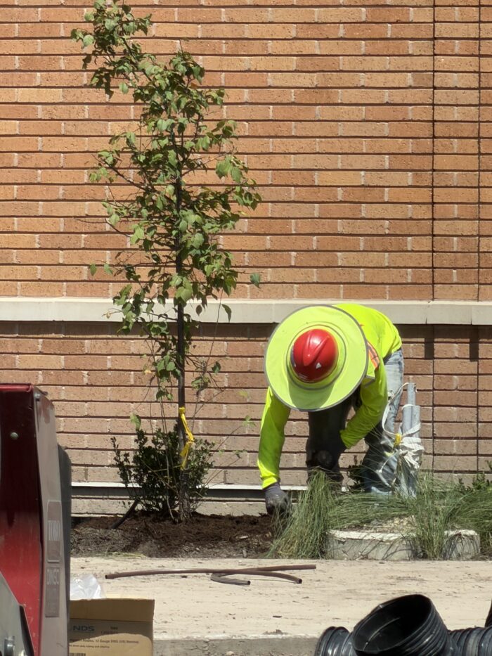 Courtyard landscaping work