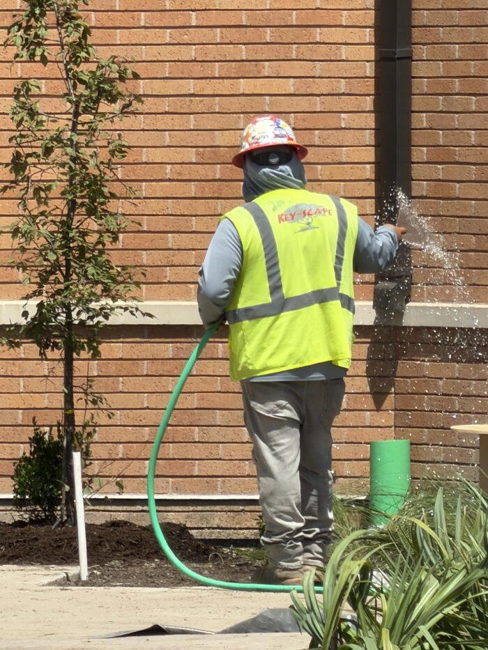 Courtyard landscaping work