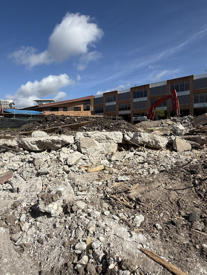 July 22: Clearing the site
